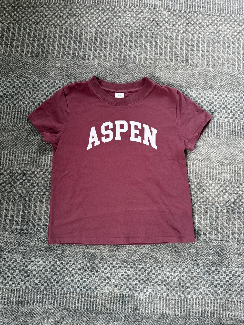 Aritzia Aspen Tee